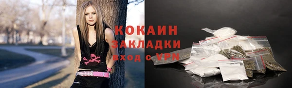 стаф Абинск