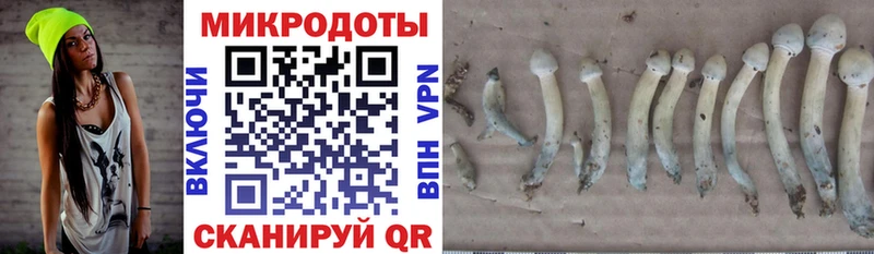 Галлюциногенные грибы MAGIC MUSHROOMS  наркошоп  Нижневартовск 